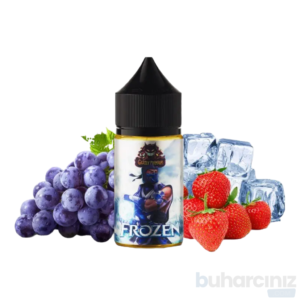 Gastly Salt Likit 30 ML - Frozen